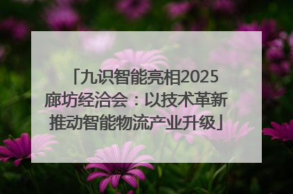 九识智能亮相2025廊坊经洽会：以技术革新推动智能物流产业升级