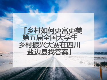 乡村如何更富更美 第五届全国大学生乡村振兴大赛在四川盐边县找答案