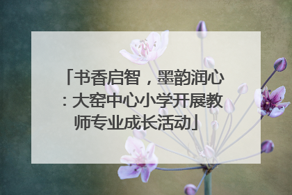 书香启智，墨韵润心：大窑中心小学开展教师专业成长活动