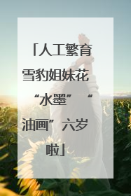 人工繁育雪豹姐妹花“水墨”“油画”六岁啦