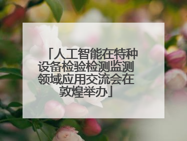 人工智能在特种设备检验检测监测领域应用交流会在敦煌举办