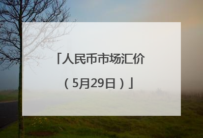 人民币市场汇价（5月29日）