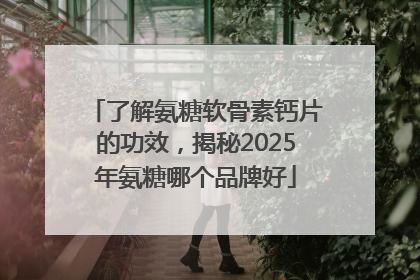 了解氨糖软骨素钙片的功效，揭秘2025年氨糖哪个品牌好