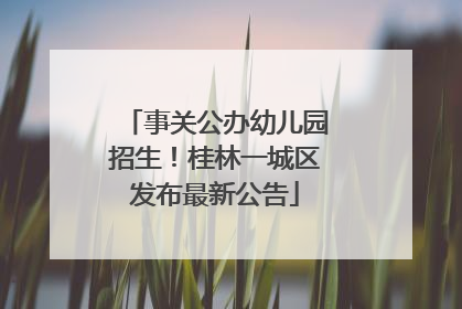 事关公办幼儿园招生！桂林一城区发布最新公告