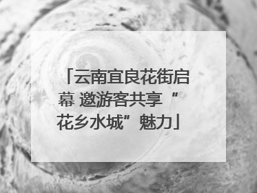 云南宜良花街启幕 邀游客共享“花乡水城”魅力
