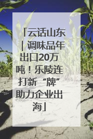 云话山东｜调味品年出口20万吨！乐陵连打新“牌”助力企业出海