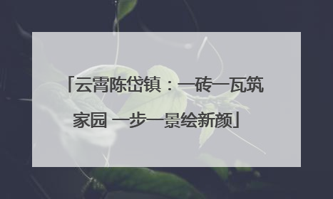 云霄陈岱镇：一砖一瓦筑家园 一步一景绘新颜
