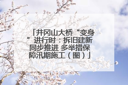井冈山大桥“变身”进行时：拆旧建新同步推进 多举措保障汛期施工（图）