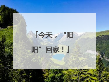 今天，“阳阳”回家！