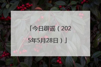 今日辟谣（2025年5月28日）