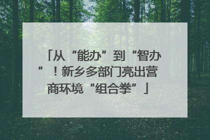从“能办”到“智办”！新乡多部门亮出营商环境“组合拳”