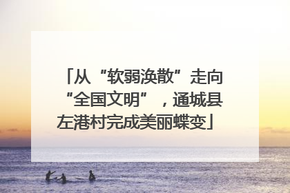 从“软弱涣散”走向“全国文明”，通城县左港村完成美丽蝶变