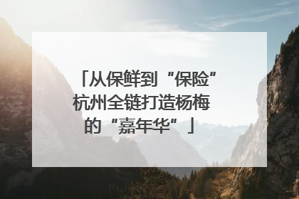 从保鲜到“保险” 杭州全链打造杨梅的“嘉年华”