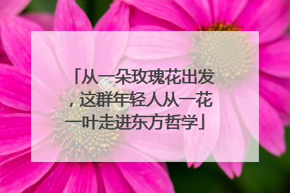 从一朵玫瑰花出发，这群年轻人从一花一叶走进东方哲学
