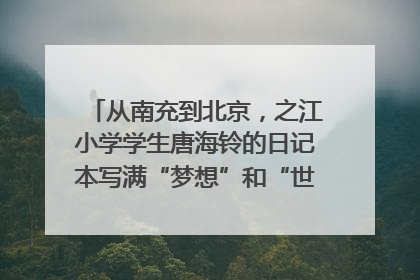 从南充到北京，之江小学学生唐海铃的日记本写满“梦想”和“世界”｜您牵挂的四川