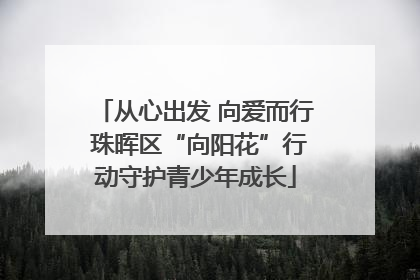 从心出发 向爱而行 珠晖区“向阳花”行动守护青少年成长