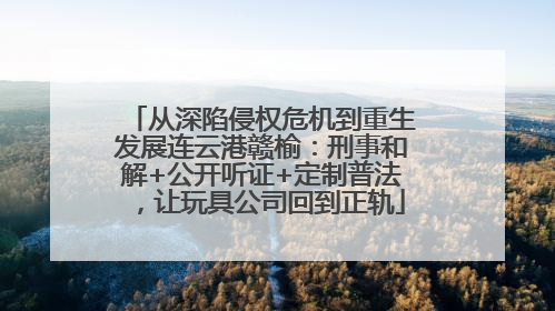 从深陷侵权危机到重生发展连云港赣榆：刑事和解+公开听证+定制普法，让玩具公司回到正轨