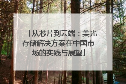 从芯片到云端：美光存储解决方案在中国市场的实践与展望