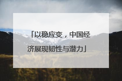 以稳应变，中国经济展现韧性与潜力