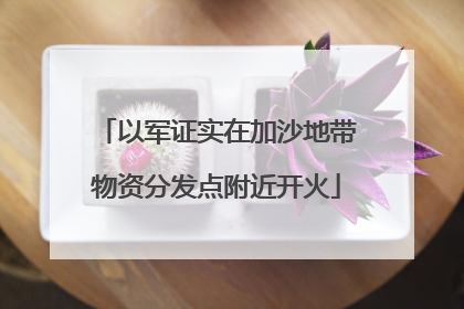 以军证实在加沙地带物资分发点附近开火
