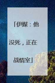伊媒：他没死，正在战情室