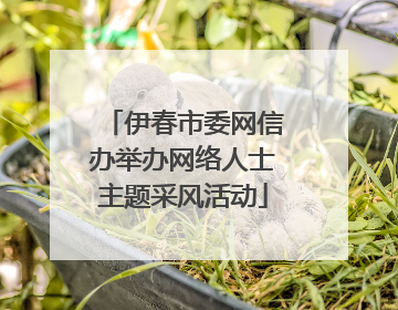 伊春市委网信办举办网络人士主题采风活动