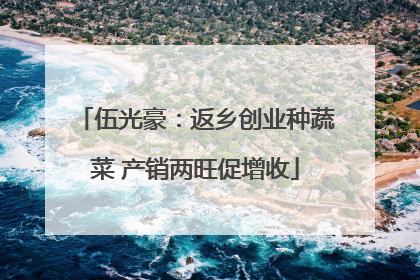 伍光豪：返乡创业种蔬菜 产销两旺促增收