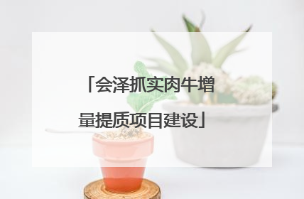 会泽抓实肉牛增量提质项目建设