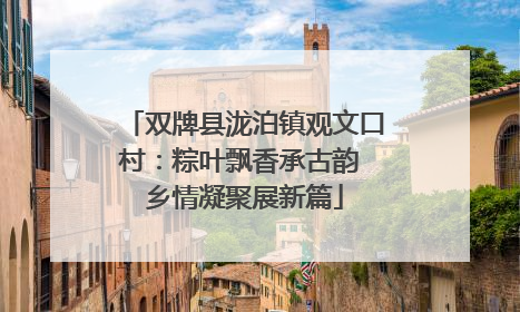 双牌县泷泊镇观文口村：粽叶飘香承古韵 乡情凝聚展新篇