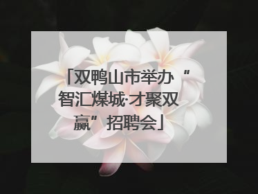 双鸭山市举办“智汇煤城·才聚双赢”招聘会