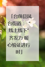 台前县凤台街道：“线上线下”齐发力 暖心验证进行时