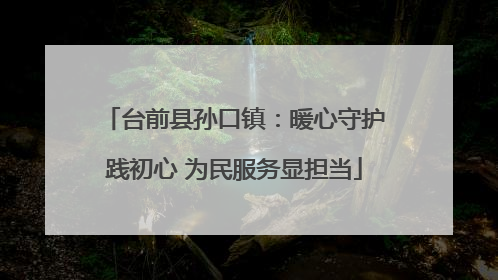 台前县孙口镇：暖心守护践初心 为民服务显担当