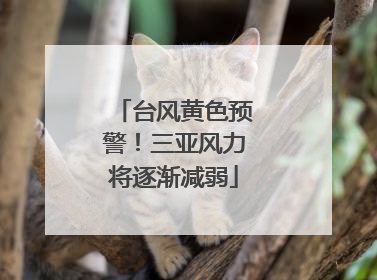 台风黄色预警！三亚风力将逐渐减弱