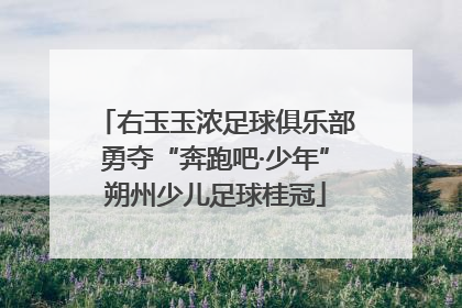 右玉玉浓足球俱乐部勇夺“奔跑吧·少年”朔州少儿足球桂冠