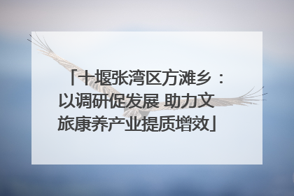 十堰张湾区方滩乡：以调研促发展 助力文旅康养产业提质增效
