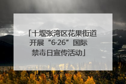 十堰张湾区花果街道开展“6·26”国际禁毒日宣传活动