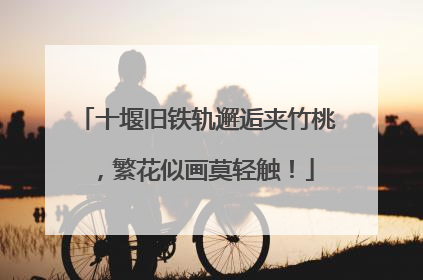 十堰旧铁轨邂逅夹竹桃，繁花似画莫轻触！
