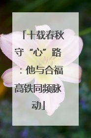 十载春秋守“心”路：他与合福高铁同频脉动