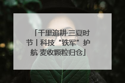千里追耕·三夏时节丨科技“铁军”护航 麦收颗粒归仓