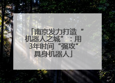 南京发力打造“机器人之城”：用3年时间“强攻”具身机器人