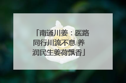 南通川姜：医路同行川流不息 养润民生姜荷飘香