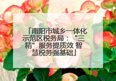 南阳市城乡一体化示范区税务局：“三精”服务提质效 智慧税务强基础