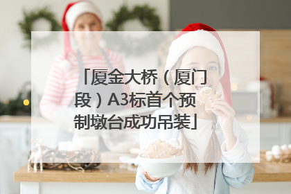 厦金大桥（厦门段）A3标首个预制墩台成功吊装