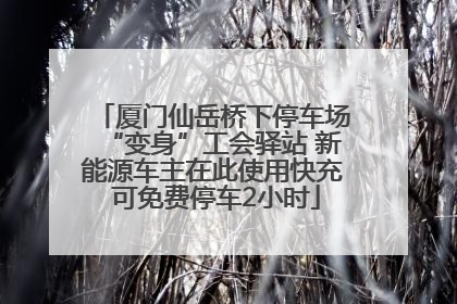 厦门仙岳桥下停车场“变身”工会驿站 新能源车主在此使用快充 可免费停车2小时