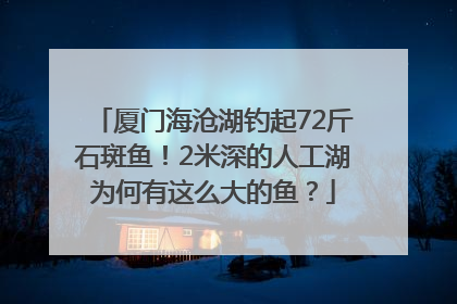 厦门海沧湖钓起72斤石斑鱼！2米深的人工湖为何有这么大的鱼？