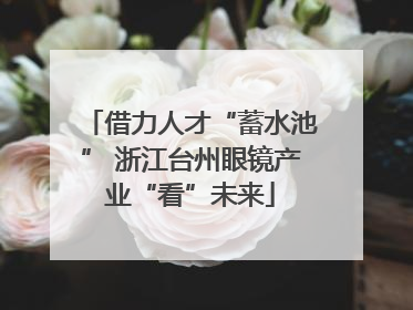 借力人才“蓄水池” 浙江台州眼镜产业“看”未来