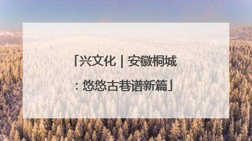 兴文化｜安徽桐城：悠悠古巷谱新篇