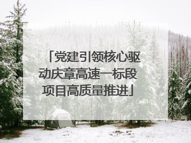 党建引领核心驱动庆章高速一标段项目高质量推进