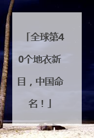 全球第40个地衣新目，中国命名！