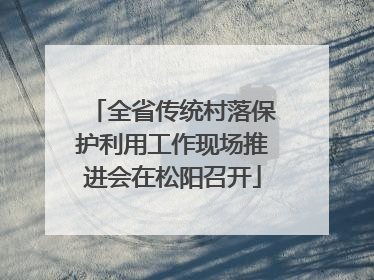 全省传统村落保护利用工作现场推进会在松阳召开